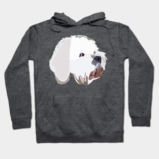 Bichon Frise Mix Dog Abstract Portrait Lime Hoodie